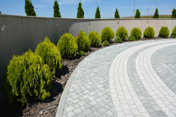 Best Driveway Paving Contractor  in Bluffton, OH